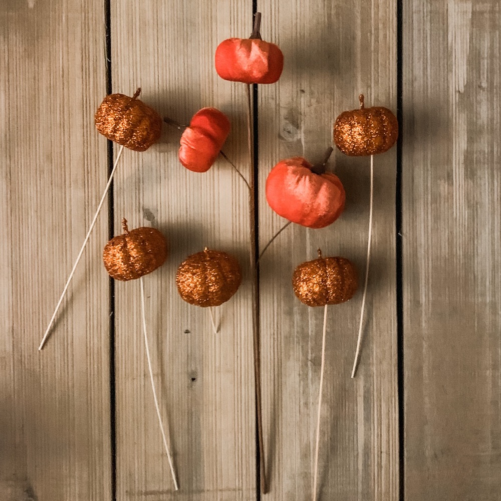 3/$15 ✨ Flash Sale.  Decorative pumpkins